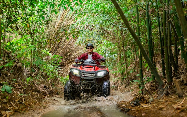 ATV rider navigating a muddy trail through dense bamboo forest.