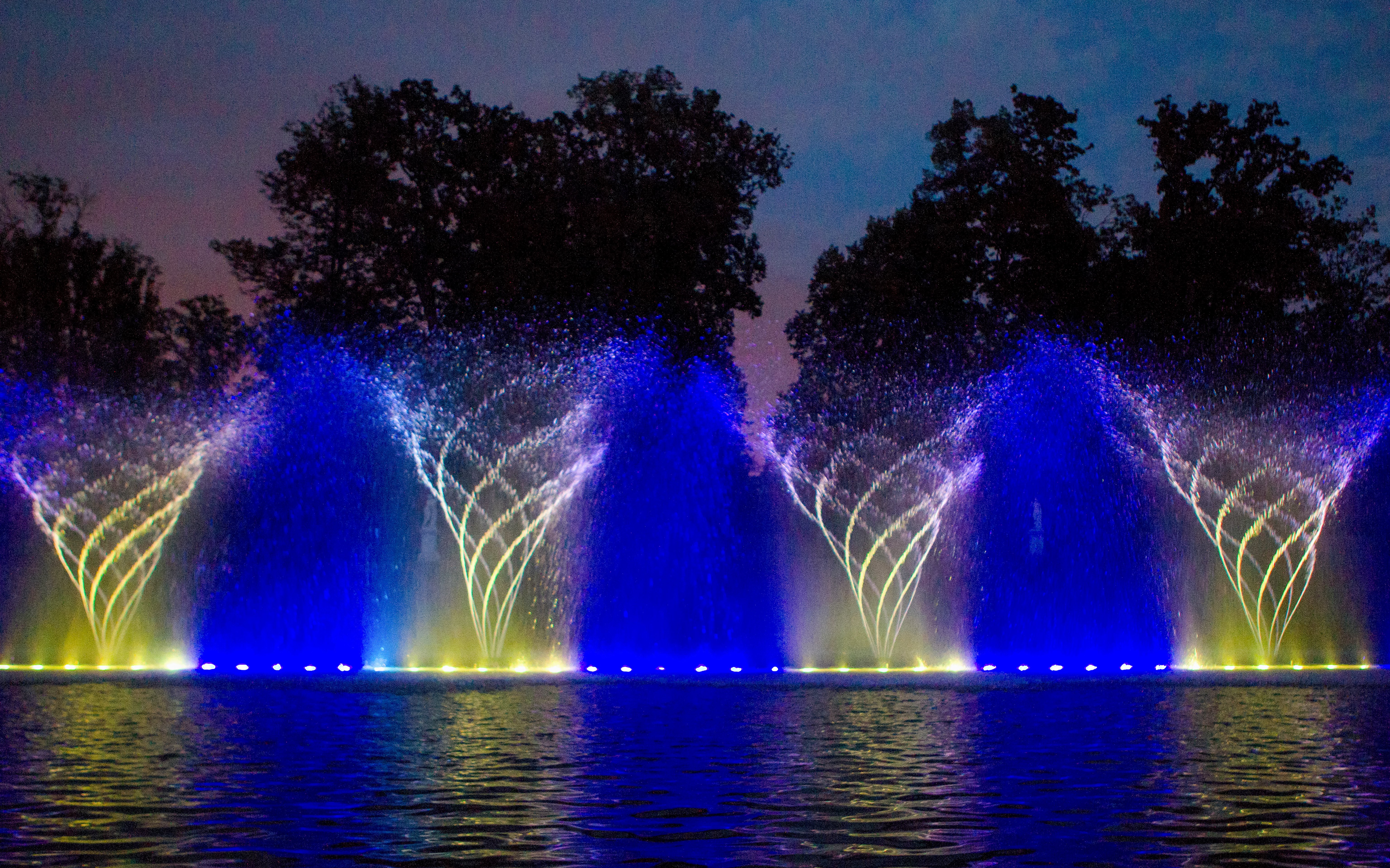 Musical Fountain show with illuminated water jets at Versailles Gardens.