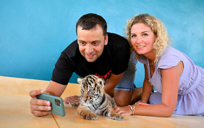 Visitors taking a selfie with a tiger cub at Tiger Park Pattaya.