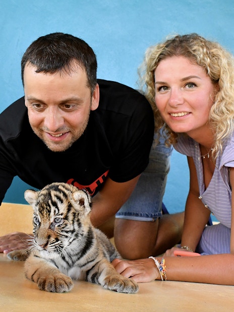 Visitors taking a selfie with a tiger cub at Tiger Park Pattaya.