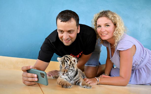 Visitors taking a selfie with a tiger cub at Tiger Park Pattaya.