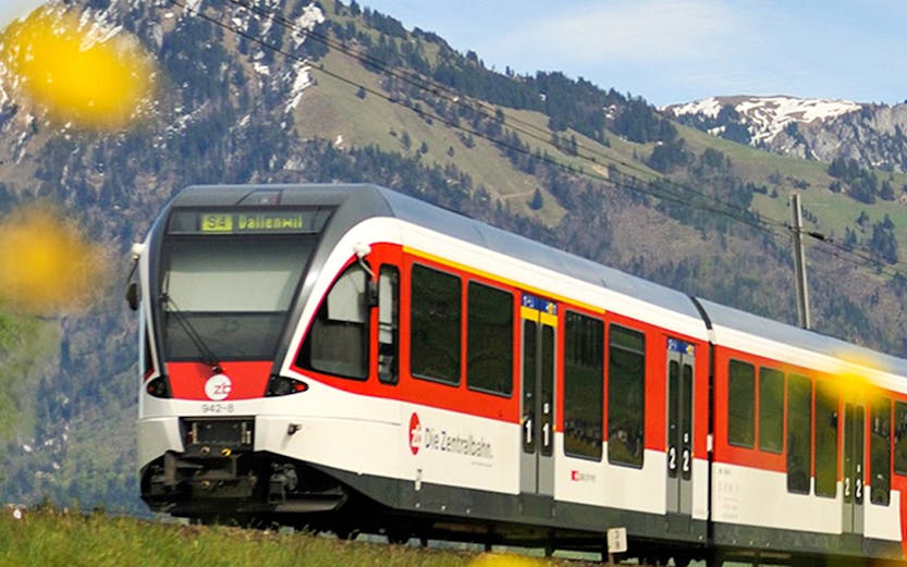 Lucerne–Interlaken Express train passing through Swiss Alps with wildflowers in foreground.