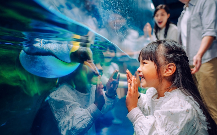 Child watching penguin at South Pole Spectacular, Ocean Park, Hong Kong.
