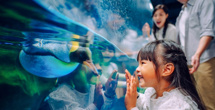 Child watching penguin at South Pole Spectacular, Ocean Park, Hong Kong.
