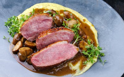duck dish
