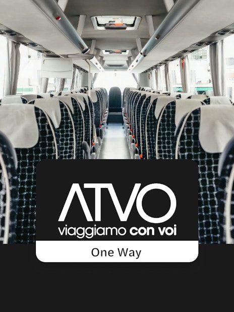 Bus interior for transfers between Venice Marco Polo and Mestre Central Train Station.