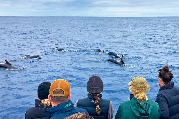 killer whale-watching expedition in bremer canyon-7