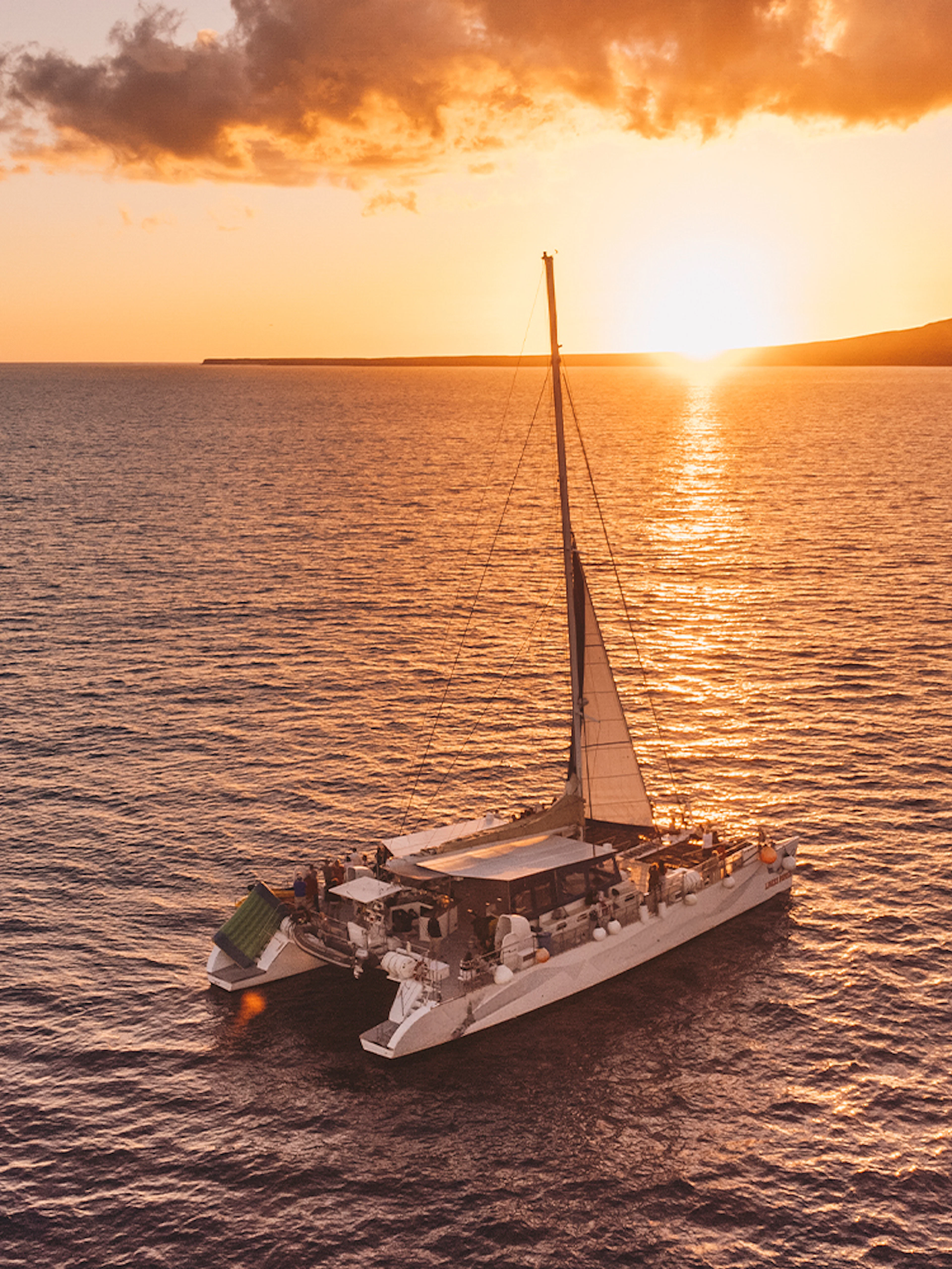 Catamaran sailing at sunset in Lanzarote for dolphin watching.