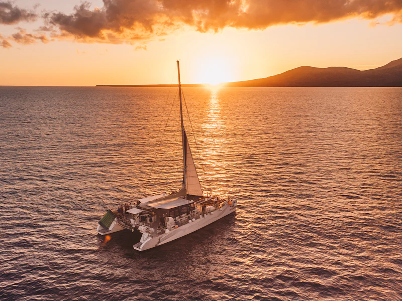 Dolphin Watching Sunset Sailing Cruise - Lanzarote
