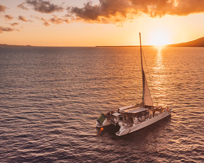 Dolphin Watching Sunset Sailing Cruise