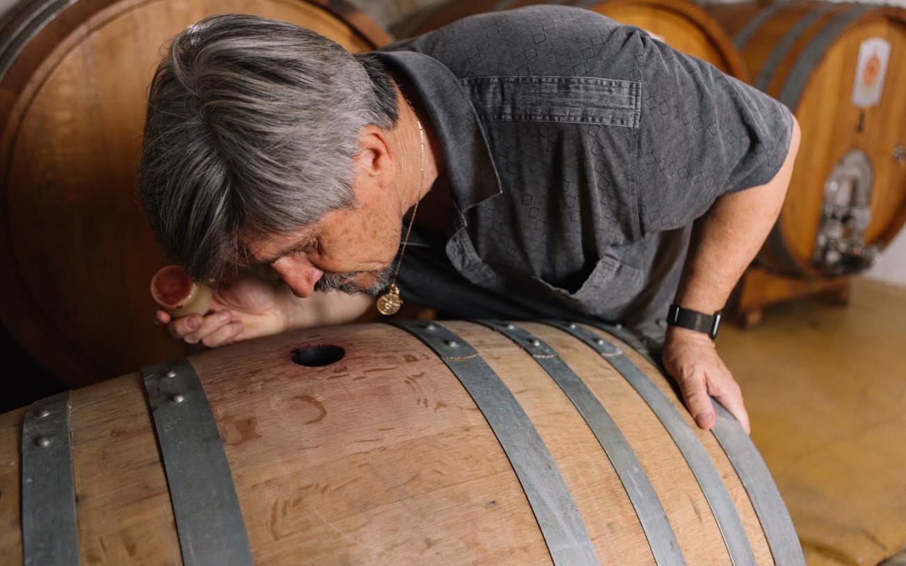 visita guiada a la bodega olbia gallura con degustación de 3 vinos locales y aperitivos sardos-2