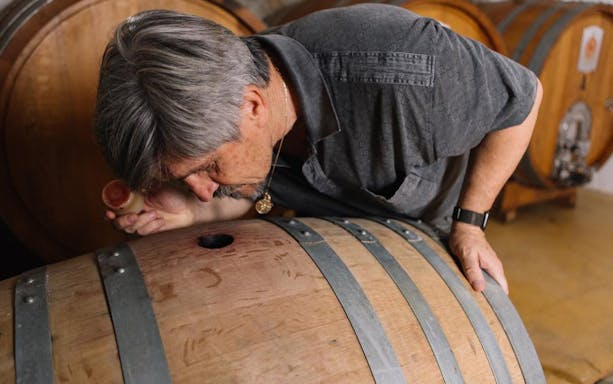 visita guiada a la bodega olbia gallura con degustación de 3 vinos locales y aperitivos sardos-2