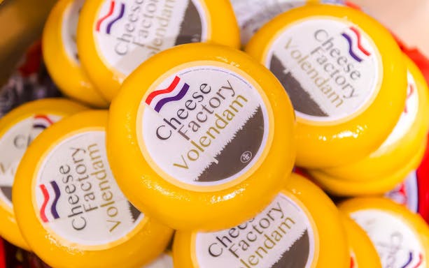 Cheese wheels labeled "Cheese Factory Volendam" in Volendam tasting tour.