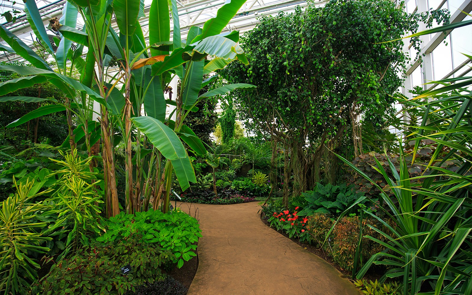 Casas Norte + Centro