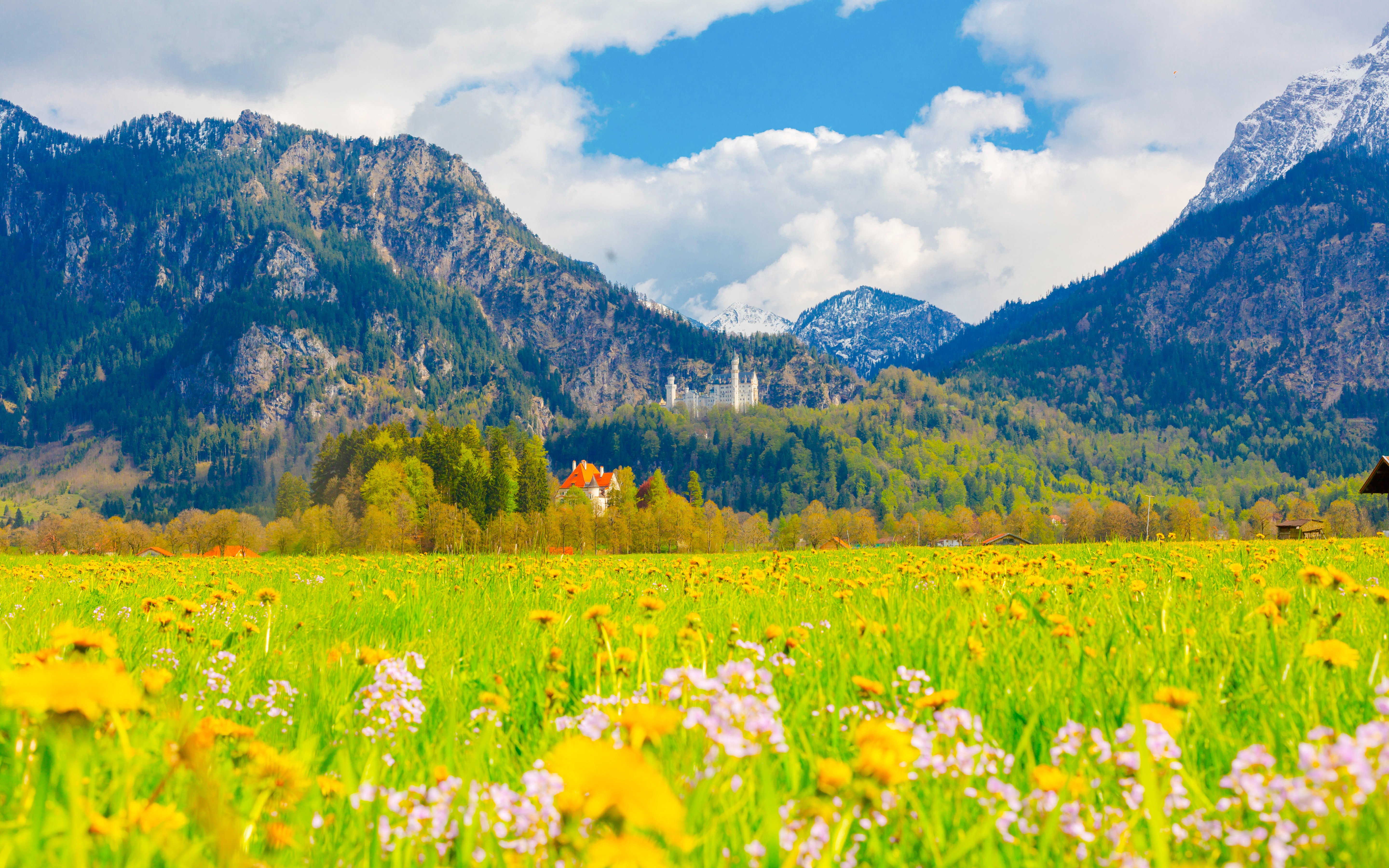 Neuschwanstein Castle in the distance with lush green fields and mountains in Bavaria, Germany.
