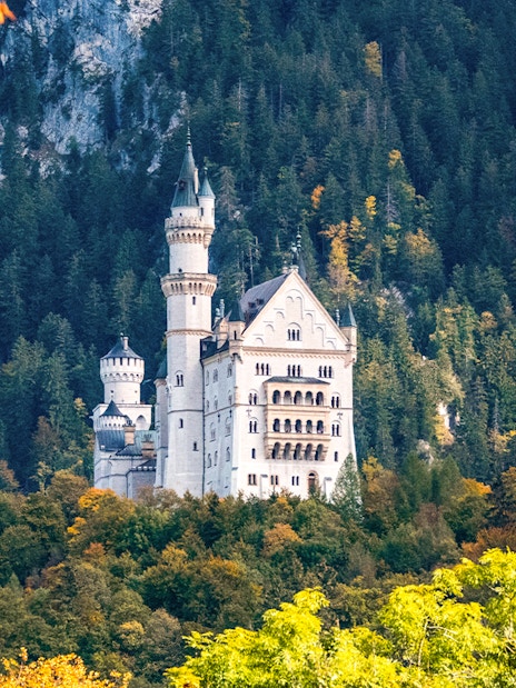 Neuschwanstein Castle surrounded by forested hills in Bavaria, Germany.