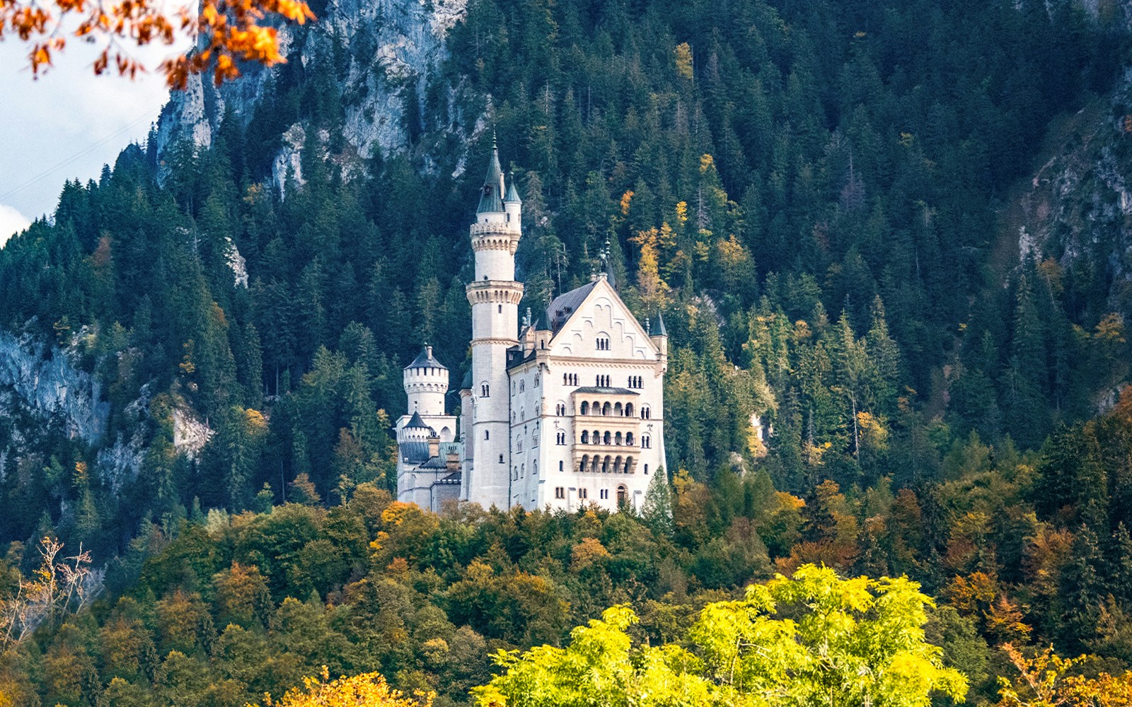 Neuschwanstein Castle surrounded by forested hills in Bavaria, Germany.