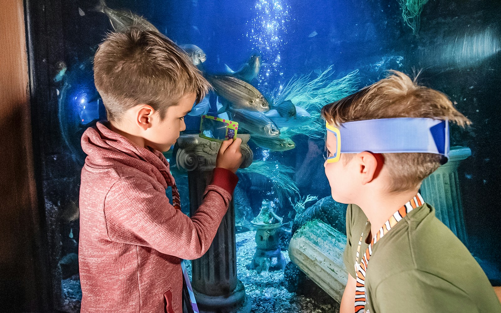 Children observing marine life in an underwater tunnel at Sea Life Speyer, surrounded by sea-themed picture frames.
