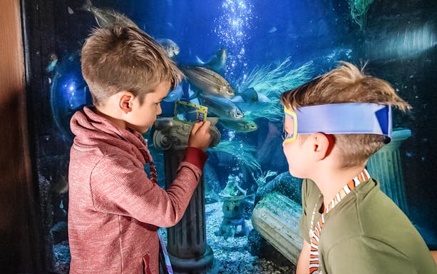Children observing marine life in an underwater tunnel at Sea Life Speyer, surrounded by sea-themed picture frames.