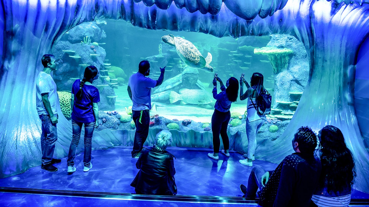 SEA LIFE Sydney