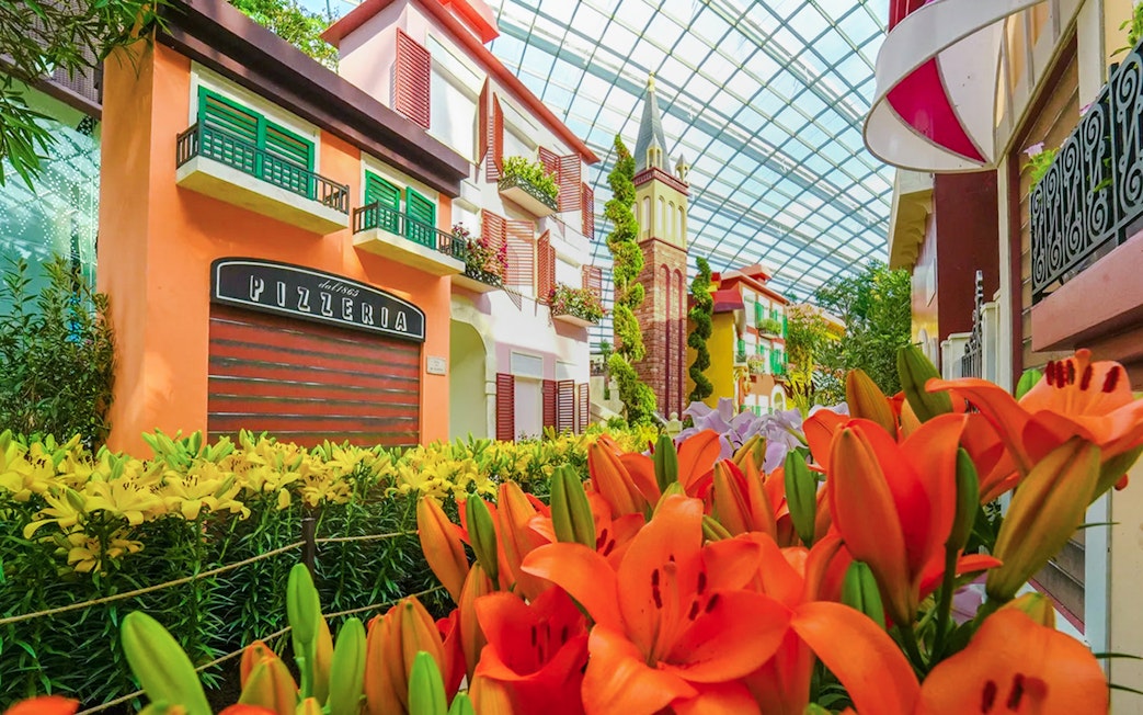 Gardens by the Bay 2025 Floral Display with vibrant lilies and colorful buildings.