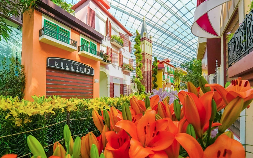 Gardens by the Bay 2025 Floral Display with vibrant lilies and colorful buildings.