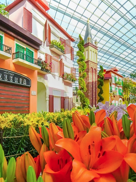 Gardens by the Bay 2025 Floral Display with vibrant lilies and colorful buildings.