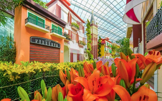 Gardens by the Bay 2025 Floral Display with vibrant lilies and colorful buildings.