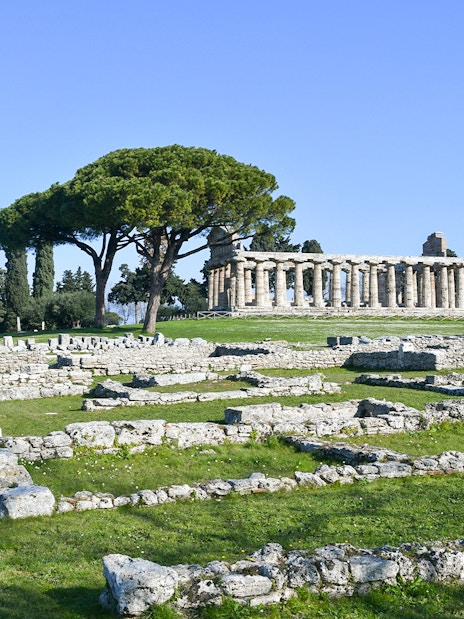 Ancient ruins and temple in Park of Paestum, Italy.