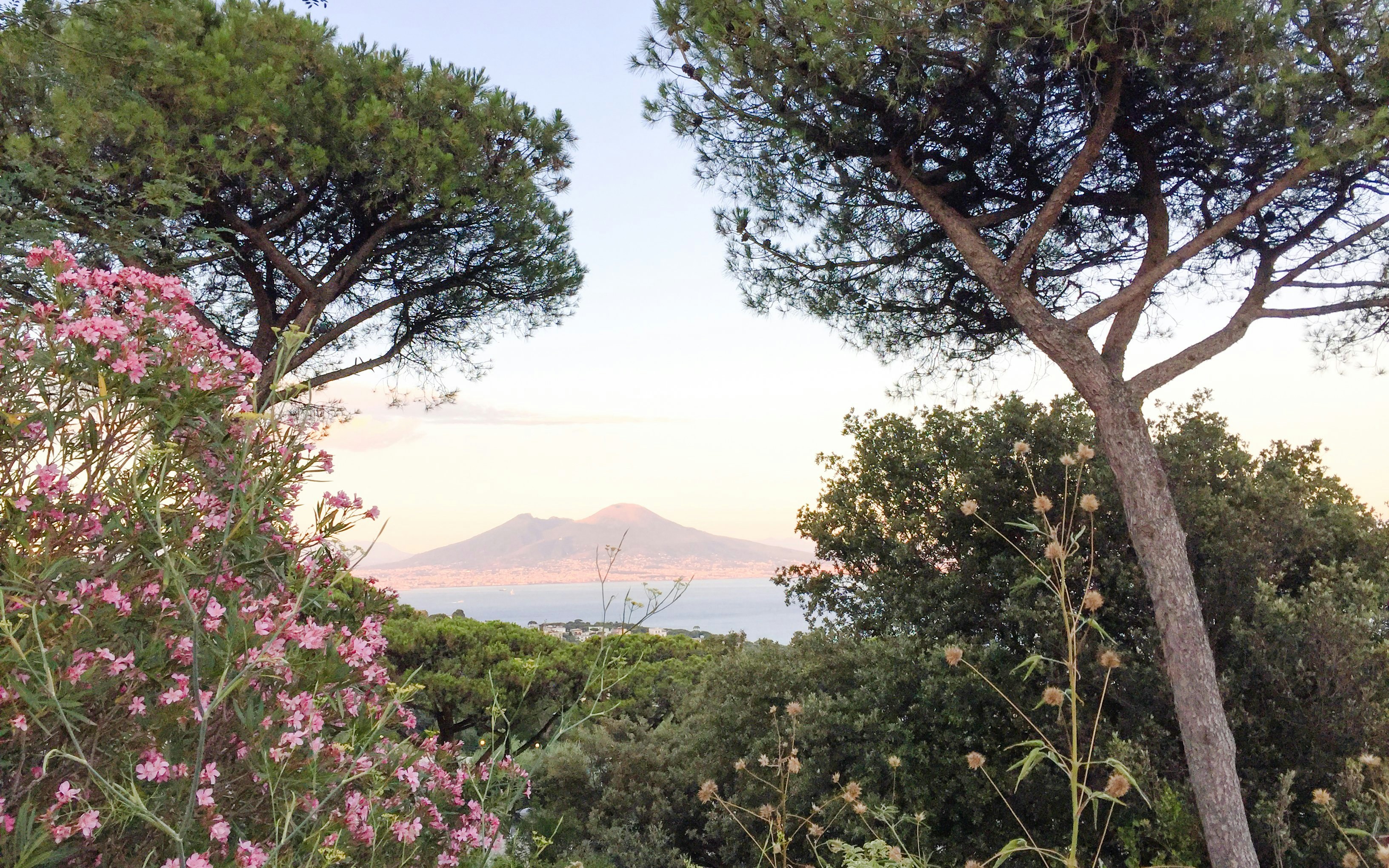 View from Virgilian Park, Naples