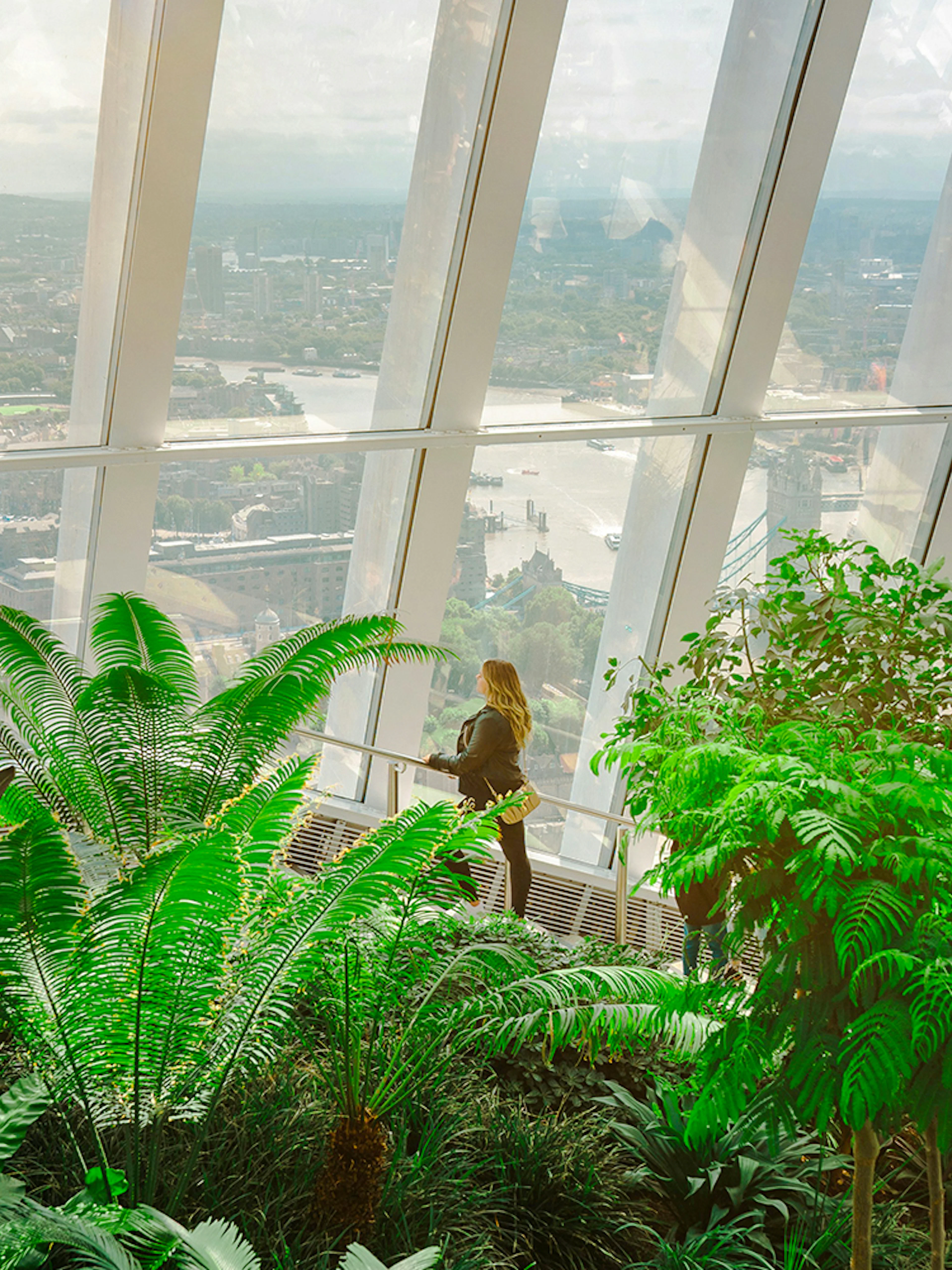 Sky Garden London interior with lush greenery and city view through large windows.