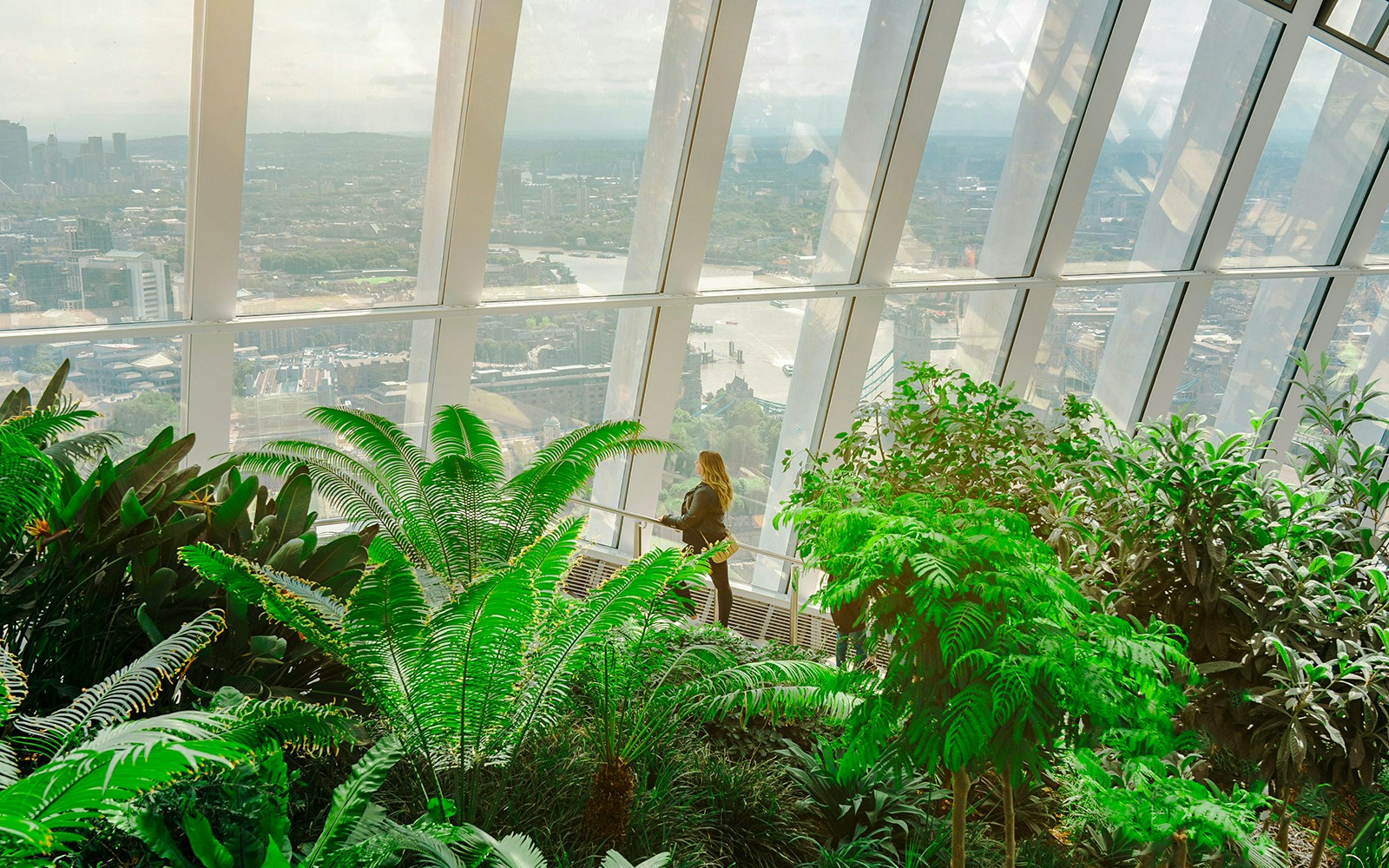 Sky Garden London interior with lush greenery and city view through large windows.