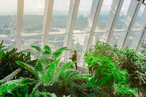 Bilet de acces anticipat la Sky Garden London cu patiserie și băutură caldă