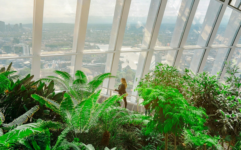 Sky Garden London interior with lush greenery and city view through large windows.