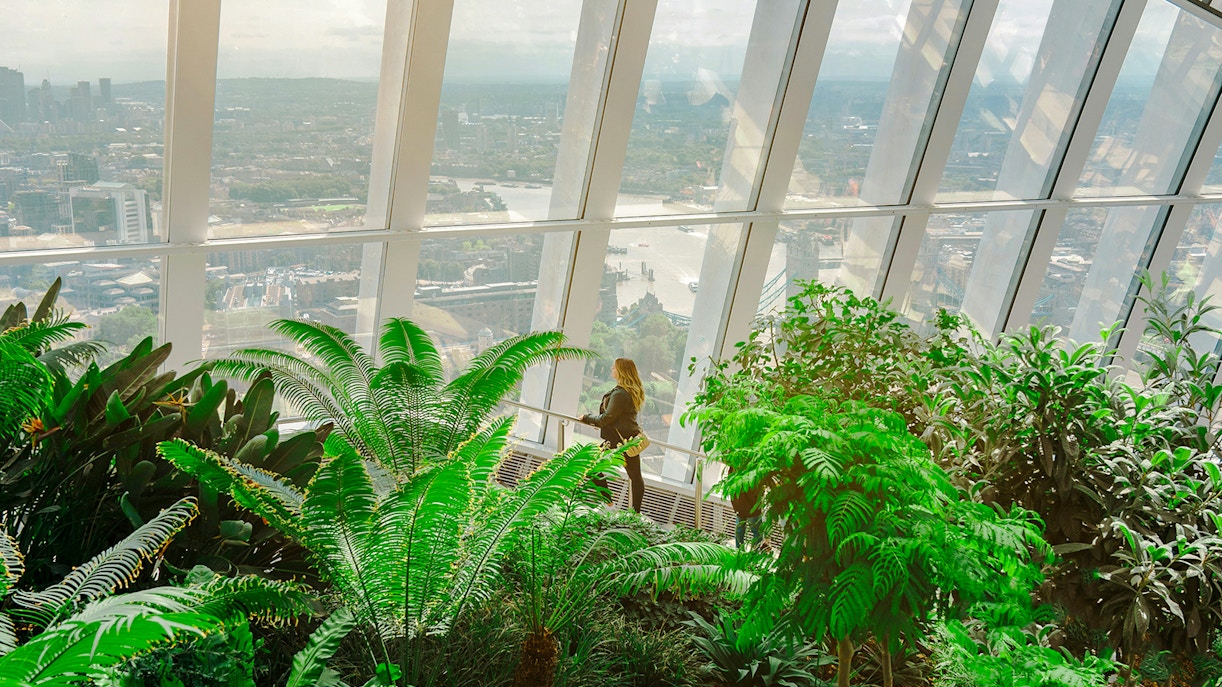 Sky Garden London interior with lush greenery and city view through large windows.