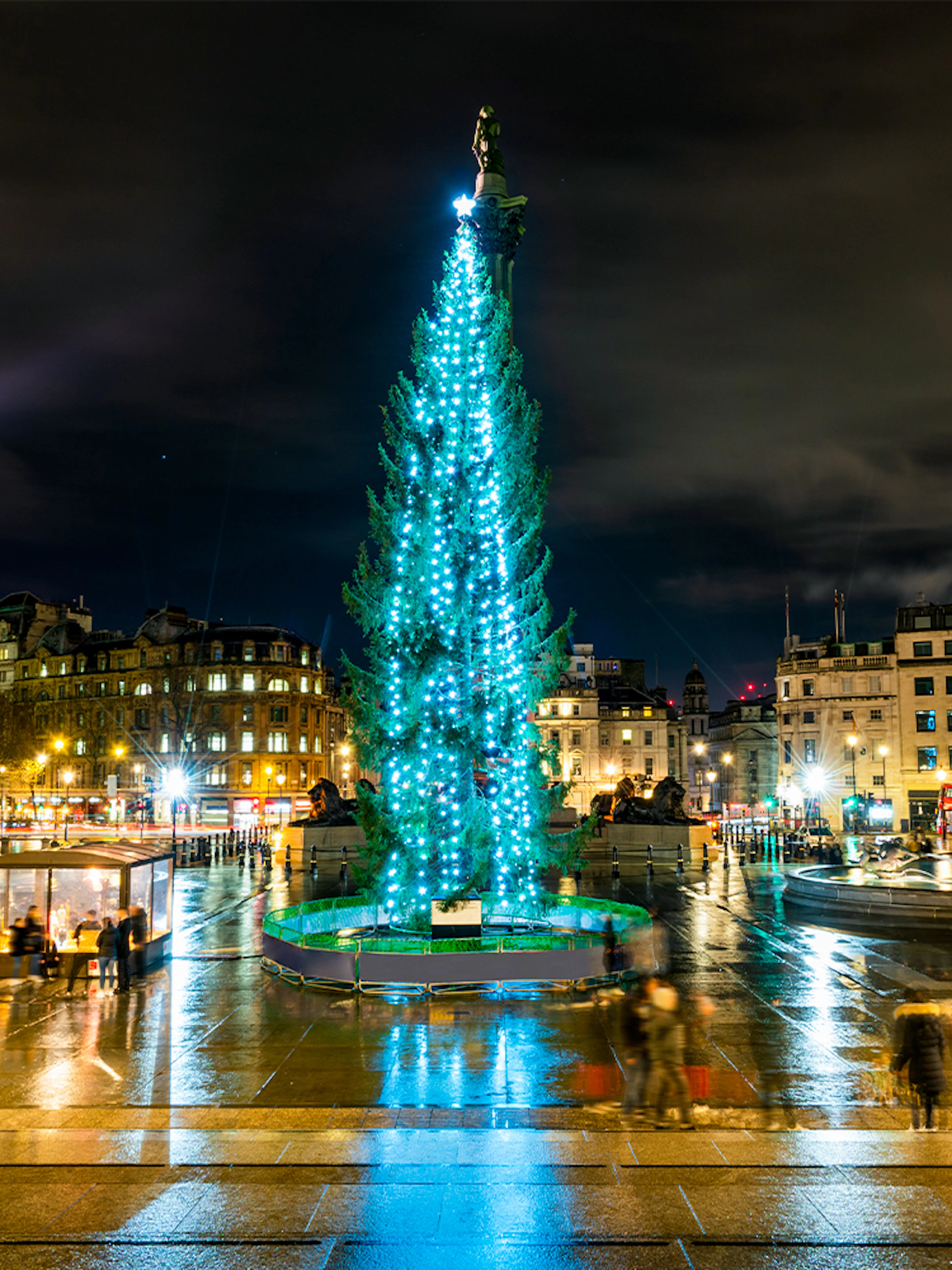 Trafalgar Square at night with Christmas tree and fountains, London, England.