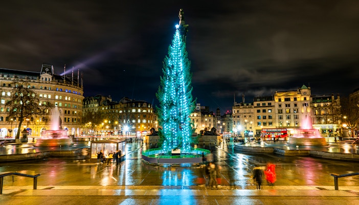 Trafalgar Square at night with Christmas tree and fountains, London, England.