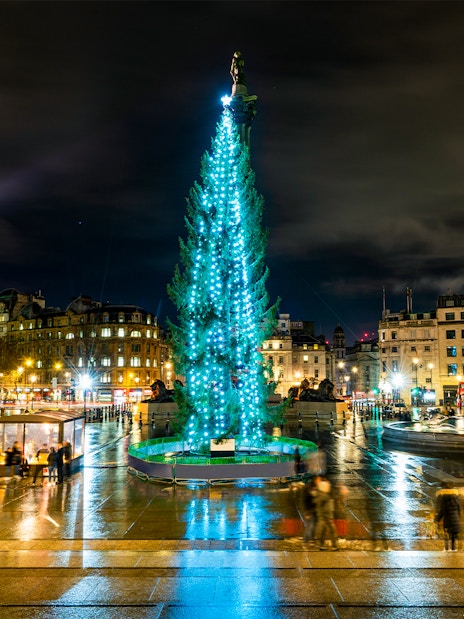 Trafalgar Square at night with Christmas tree and fountains, London, England.