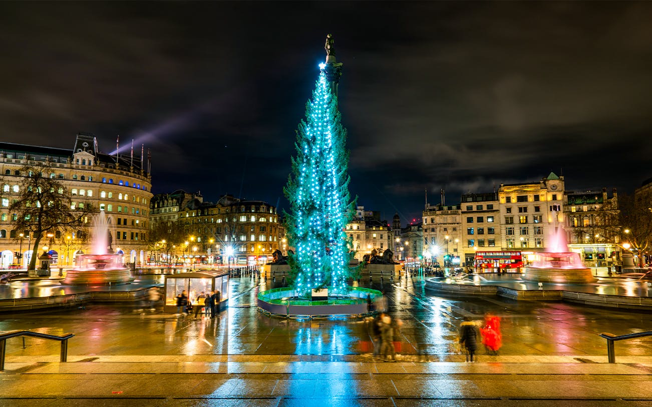 Trafalgar Square at night with Christmas tree and fountains, London, England.