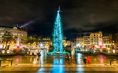 Trafalgar Square at night with Christmas tree and fountains, London, England.
