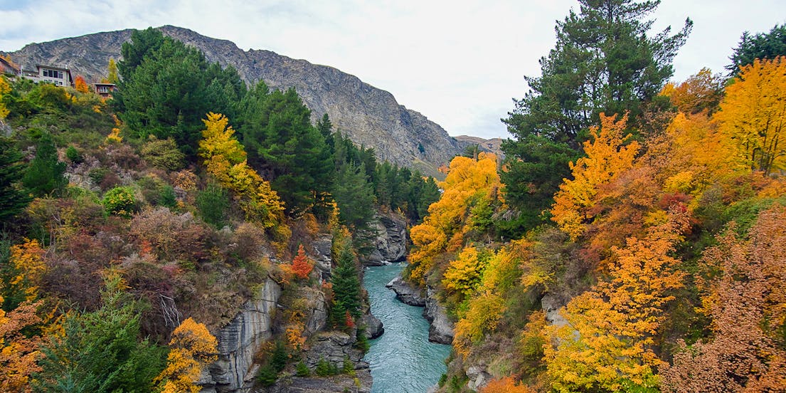 Arrowtown and Wanaka Platinum tour