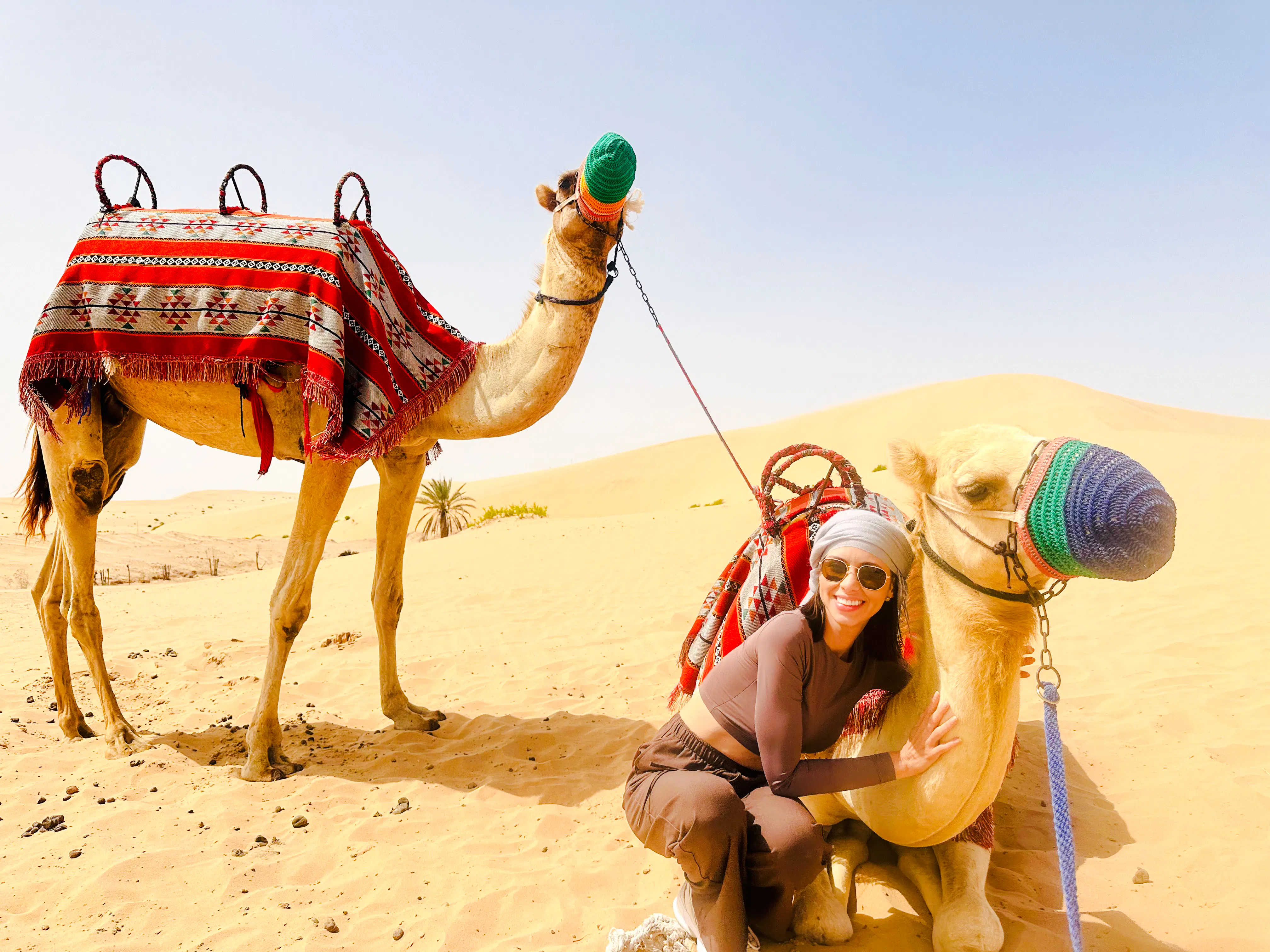 Camel ride in Abu Dhabi desert with a person sitting beside a camel, sand dunes in the background.