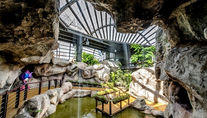Visitors exploring lush greenery and vibrant butterflies inside Entopia by Penang Butterfly Farm, Malaysia.