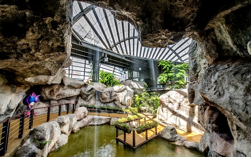 Indoor rock garden and pond at Entopia by Penang Butterfly Farm, Malaysia.