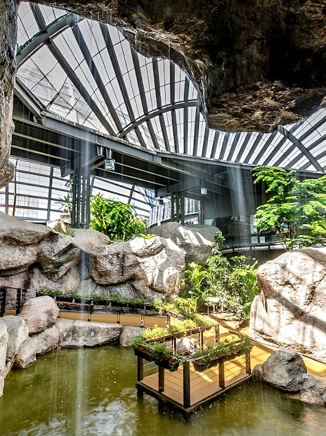 Indoor rock garden and pond at Entopia by Penang Butterfly Farm, Malaysia.