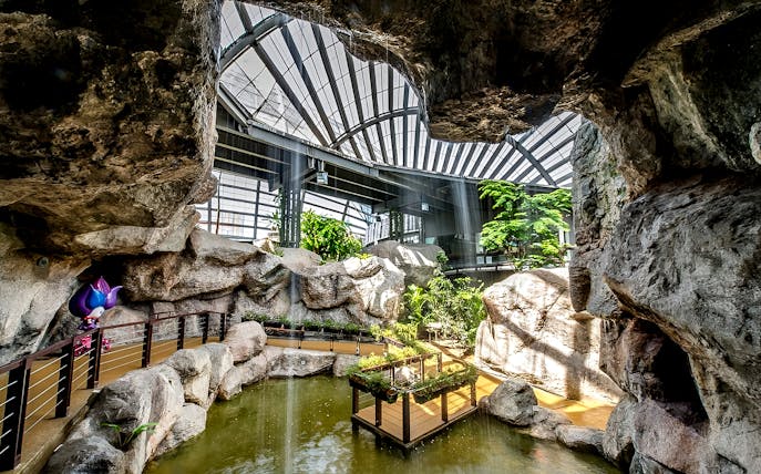 Indoor rock garden and pond at Entopia by Penang Butterfly Farm, Malaysia.