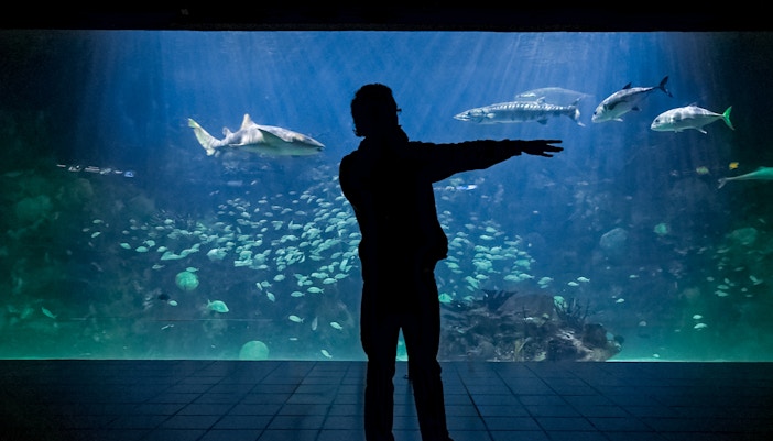 Tour guide explaining marine life at an aquarium exhibit