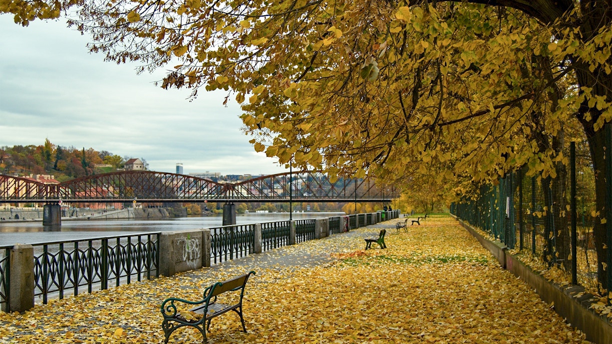 paseo del parque de vyšehrad