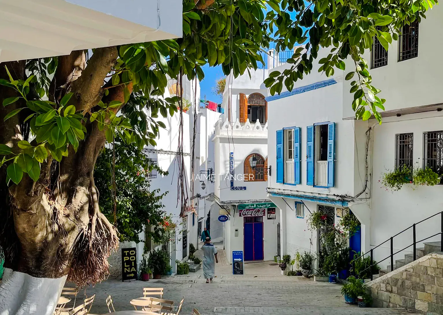 Street scene in Tangier's Medina with white buildings, blue shutters, and a large tree.