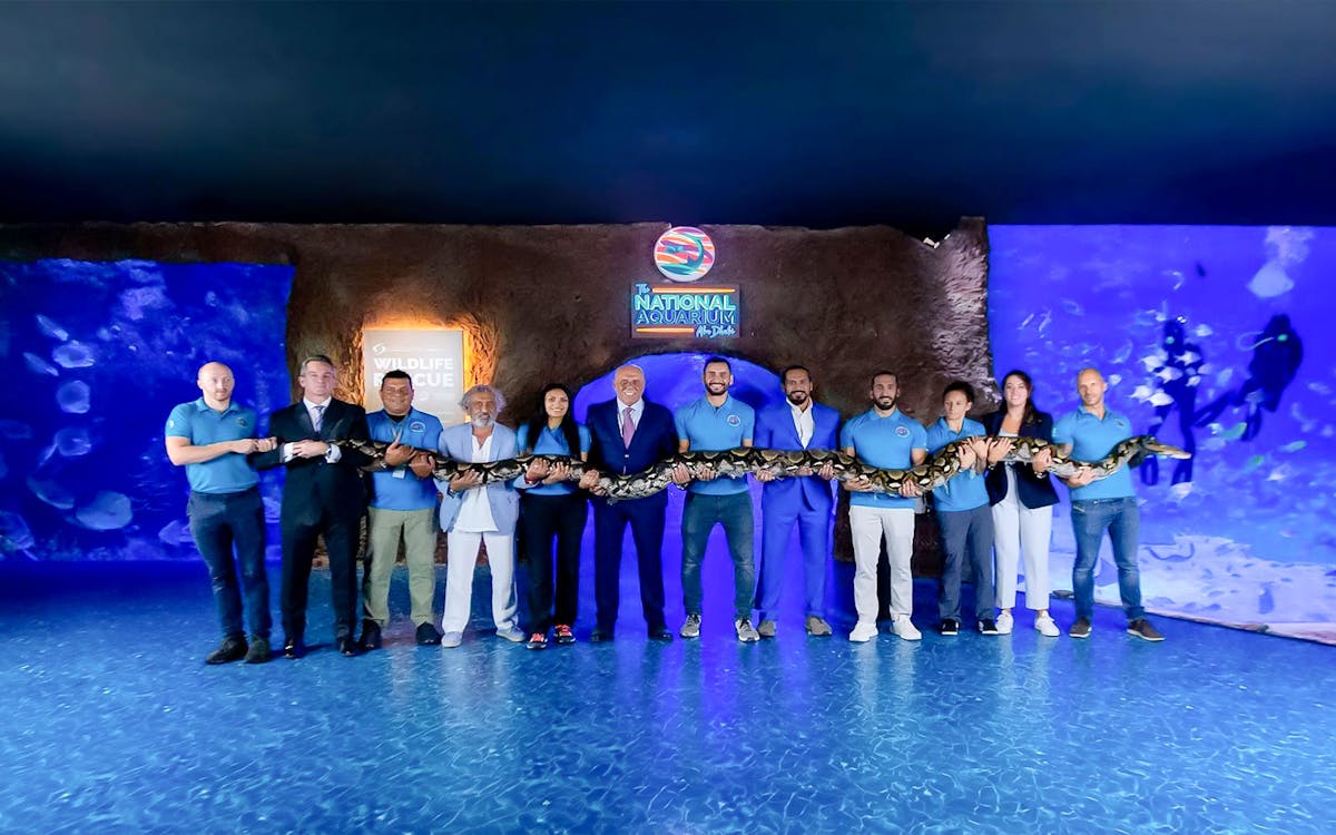 combo deal: national aquarium + adrenark adventure tickets-7 combo deal: national aquarium + adrenark adventure tickets-7